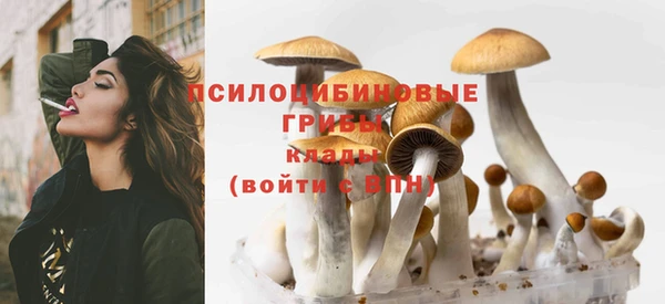 твердый Аркадак