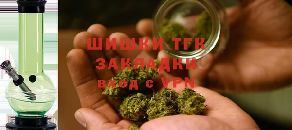 твердый Аркадак