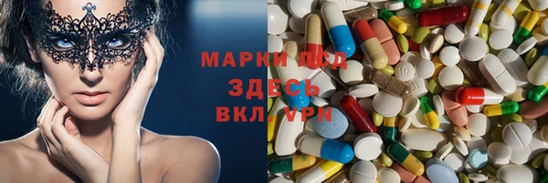 твердый Аркадак