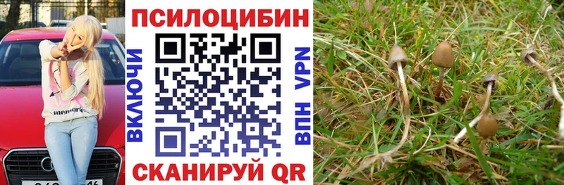 Псилоцибиновые грибы прущие грибы  ссылка на мегу зеркало  Майский 